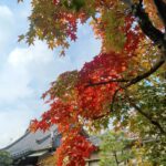 11月の写経会も正法寺で参加出来て感謝でございます🍁🙏🍁