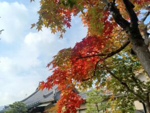 11月の写経会も正法寺で参加出来て感謝でございます🍁🙏🍁
