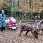 12月1日、師走を迎えました。この月はやり残したことのないように、充実して過ごしたいものです🎄🎅🎄