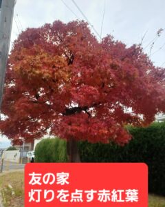 12月の大山崎町内のウォーキング俳句🚶🚶🚶