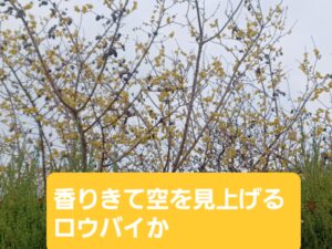 2024年1月大山崎町内のウォーキングです😌💓
