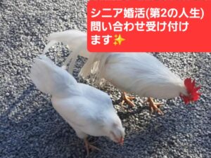 シニア婚活(第２の人生)の問い合わせを受付ています。電話一本で人生の選択肢が増えます✨️