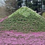 5月1日皐月です🎏