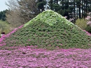 5月1日皐月です🎏
