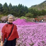 一足早くお誕生日記念旅行の2日目は眩い芝桜です