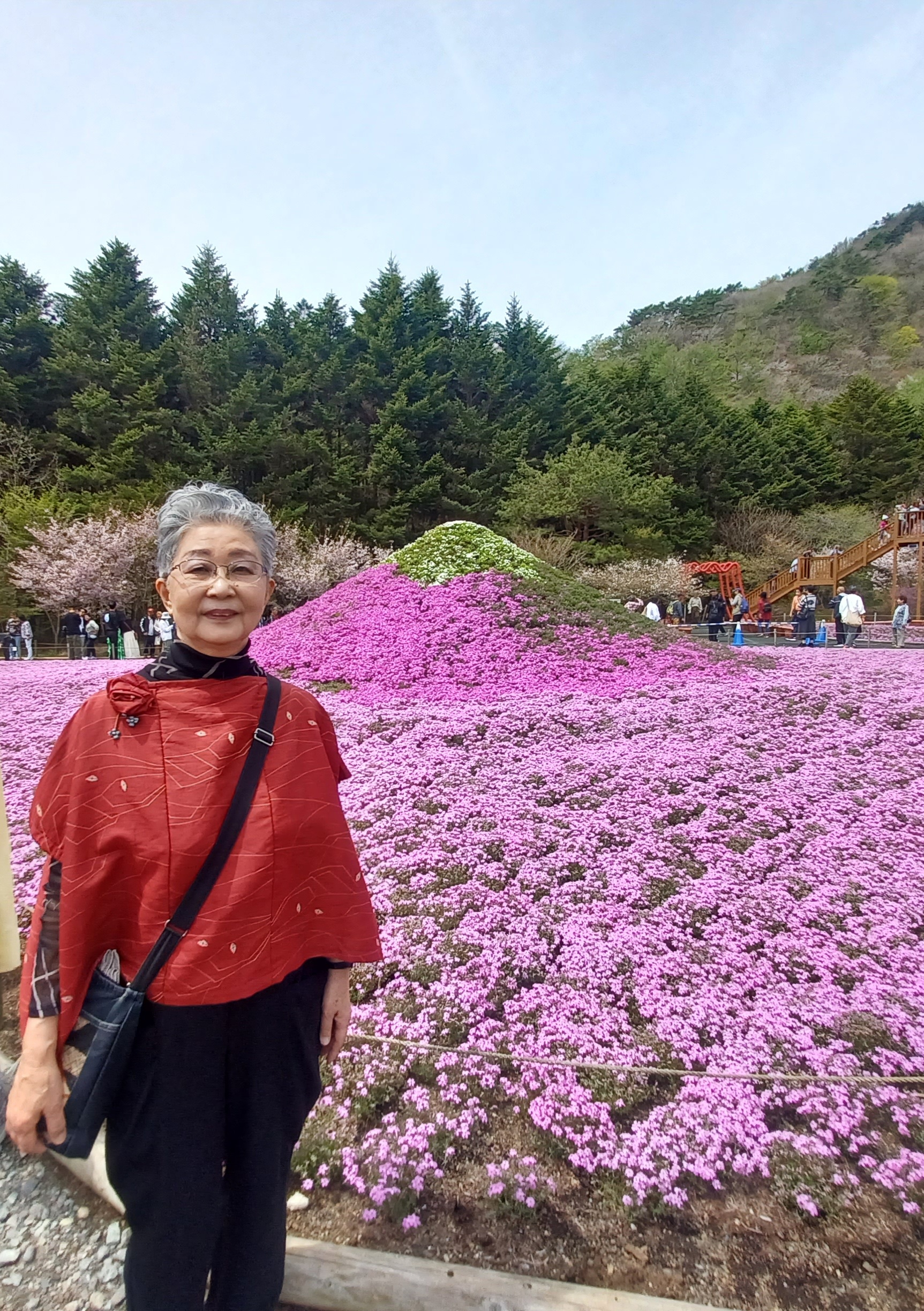 一足早くお誕生日記念旅行の2日目は眩い芝桜です