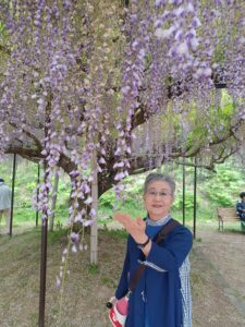 連休最後は名残の花を楽しみました