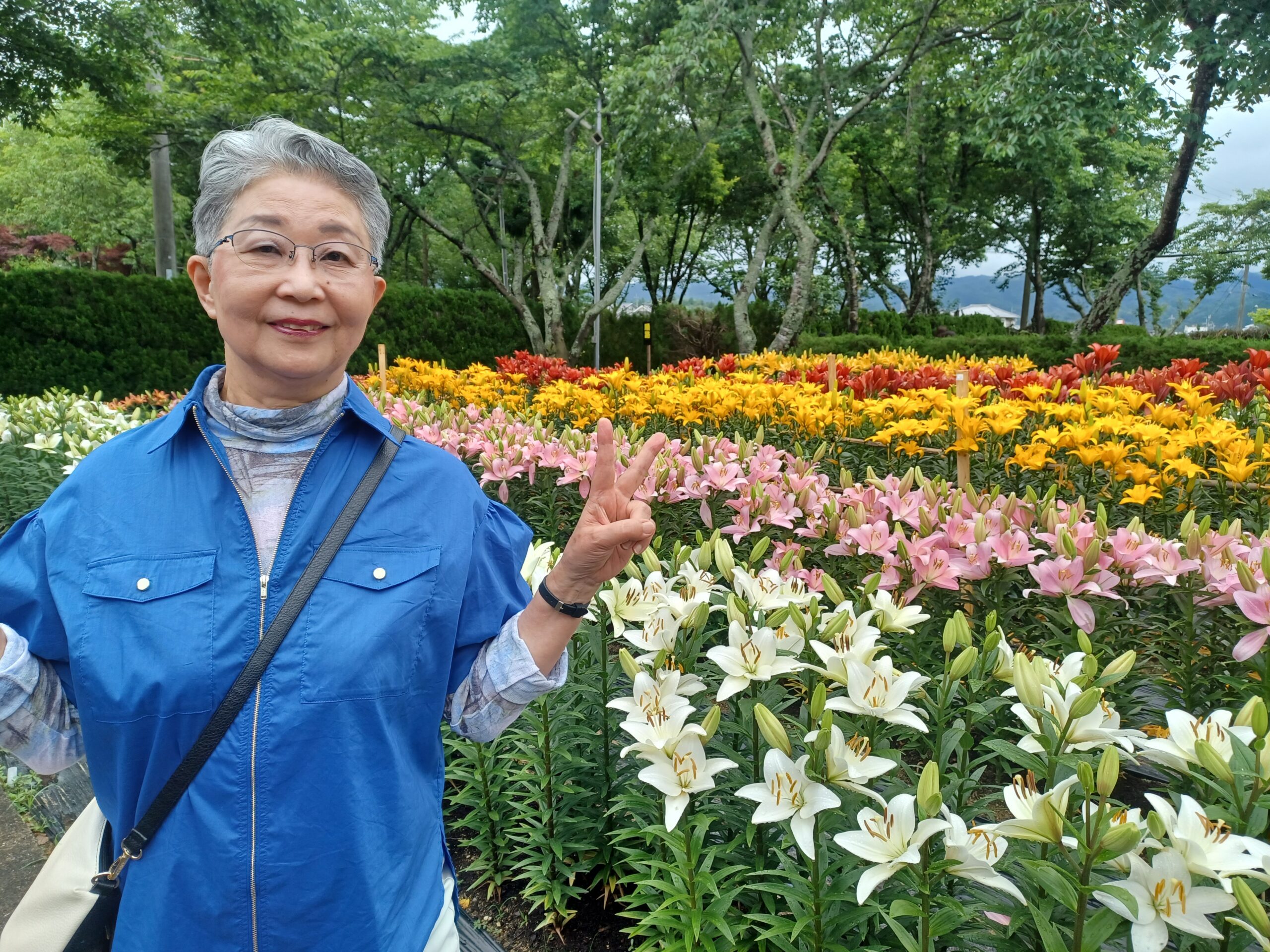 6月の大人の遠足は3つの花園へいきました