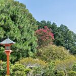 9月のお彼岸月に写経に参加しました🙏