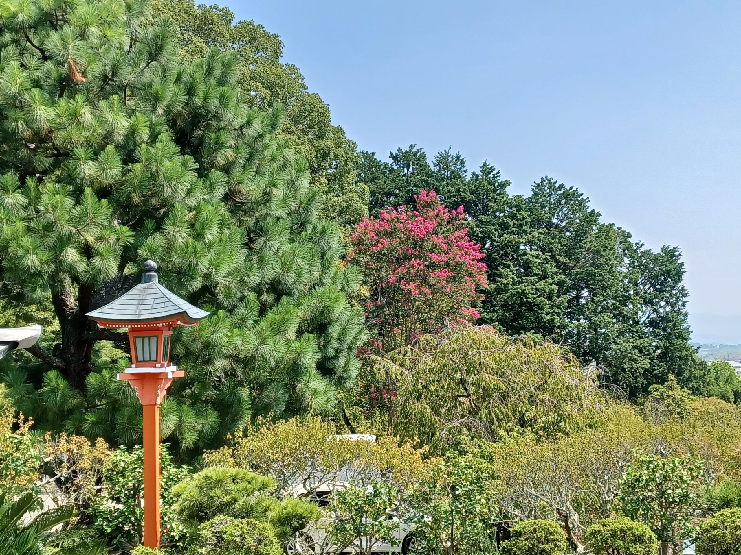 9月のお彼岸月に写経に参加しました🙏