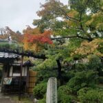 11月写経🙏と書道展へ行きました✨️