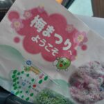 梅見の遠足は残念ながらまだでした🌷