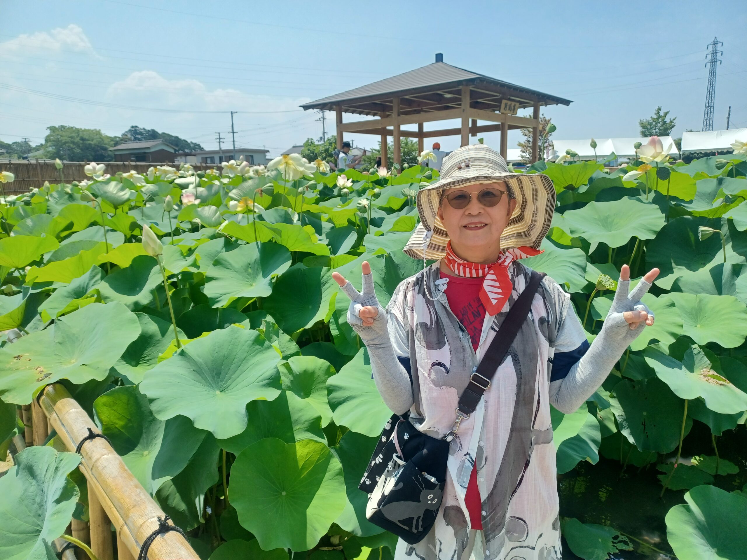 令和7年7月7日のラッキー7️⃣の七夕🎋に大人の遠足に行きました