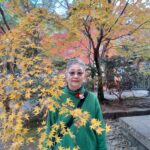 『いい夫婦の日』(11/22)に奈良大和路の紅葉狩り🍁