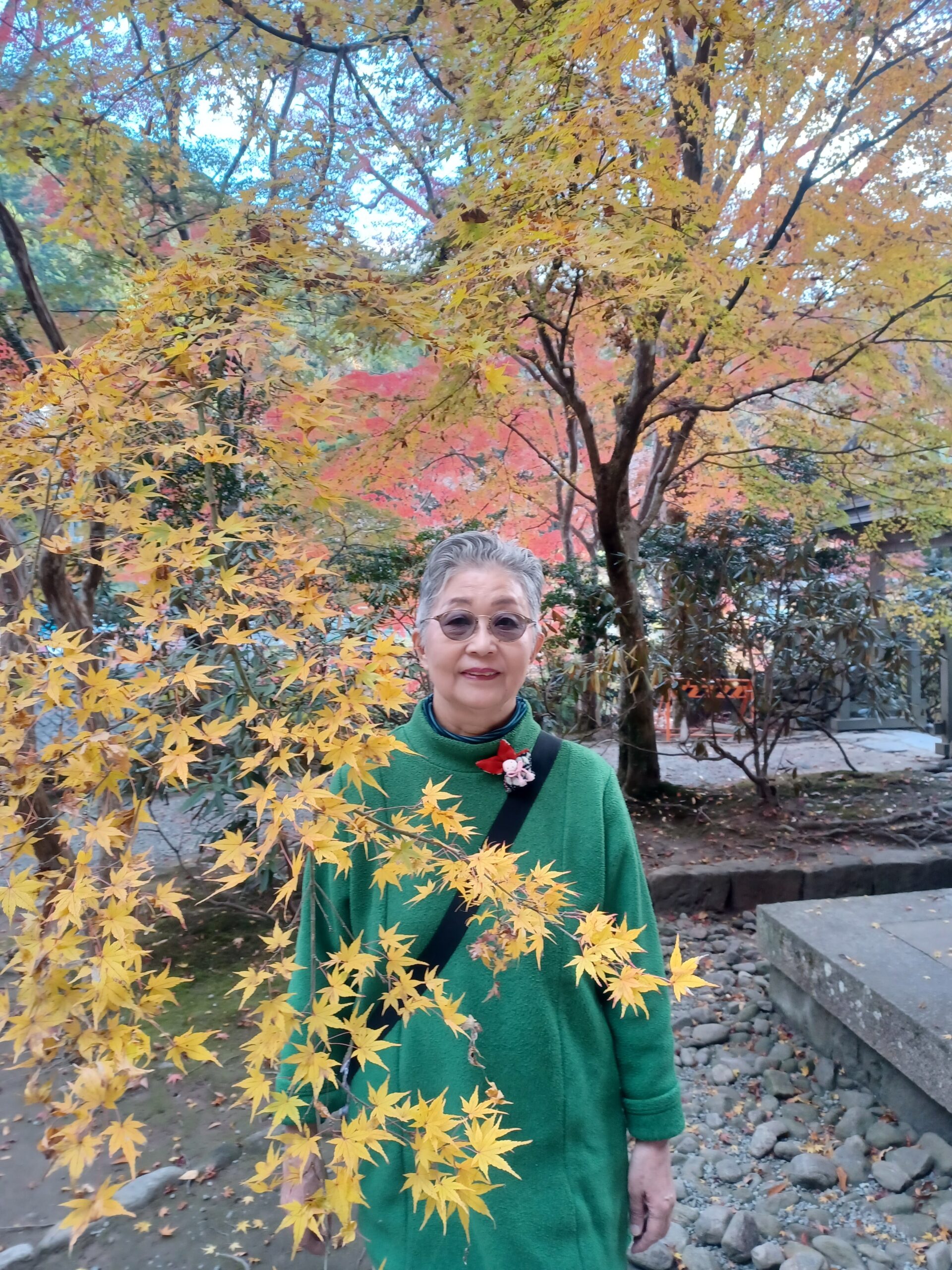 『いい夫婦の日』(11/22)に奈良大和路の紅葉狩り🍁