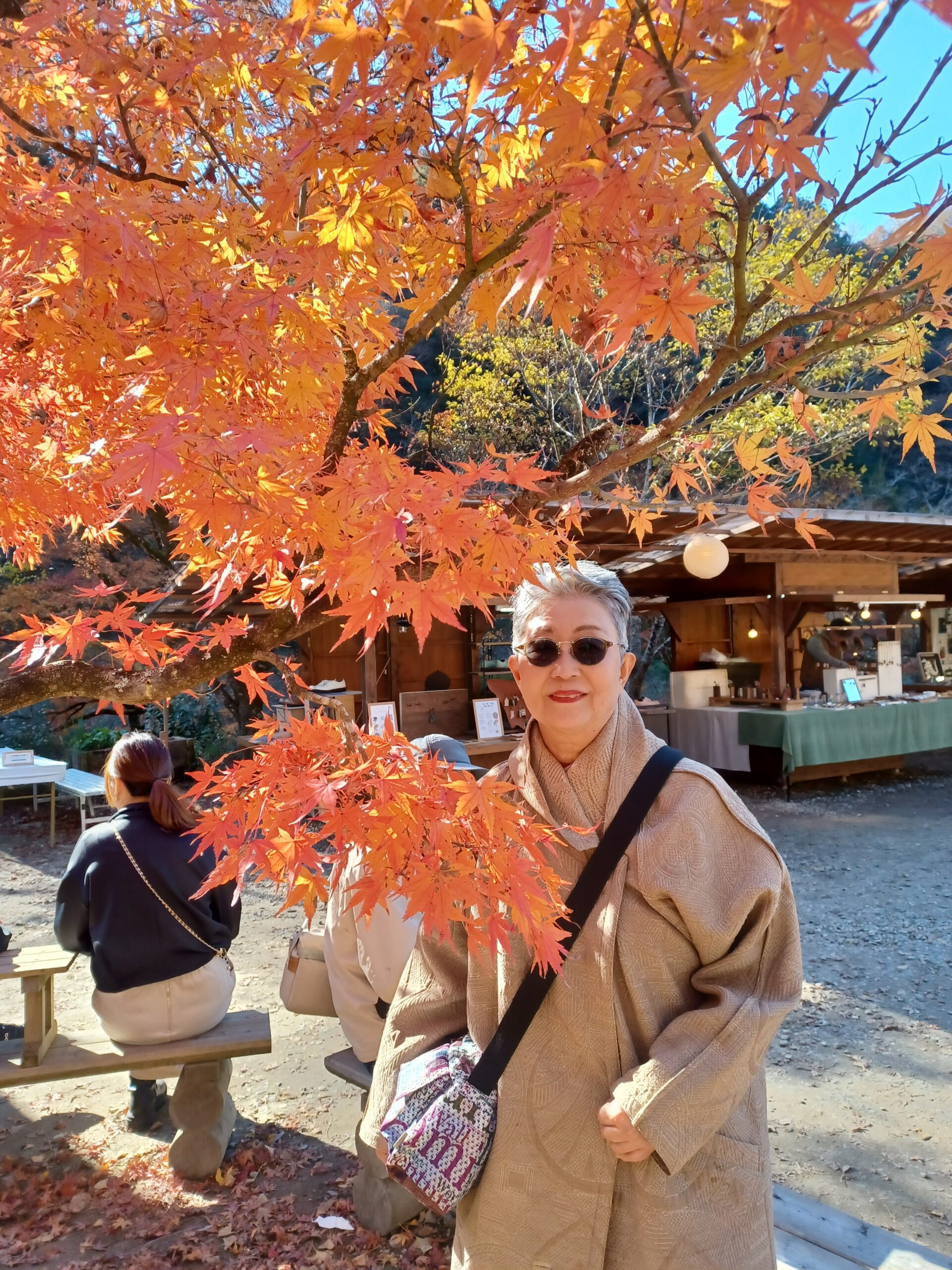 今年最後の紅葉狩りは東海地方へ🍁🍁🍁