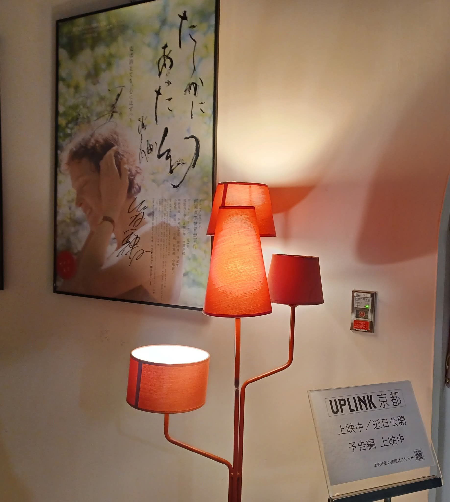 一人外出を楽しみました!