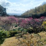 3月の写経は正法寺で🙏💮