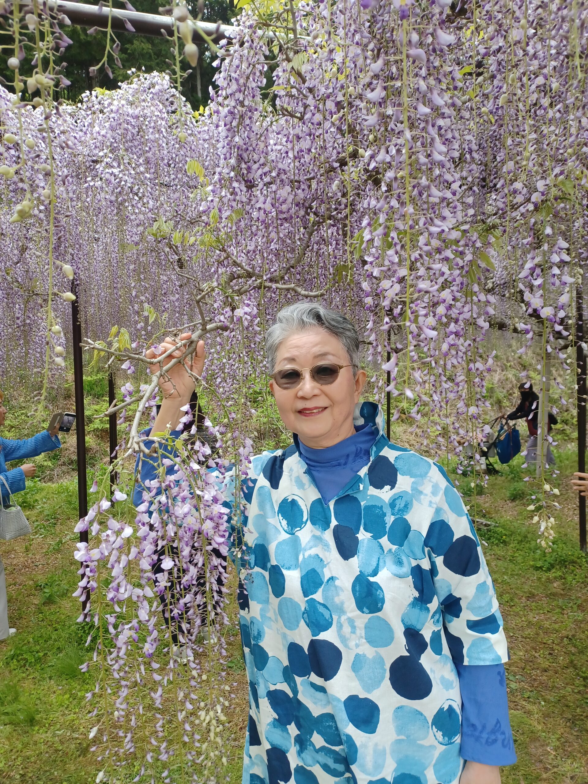 喜寿の思い出に💜の花の祝福を頂きました✨